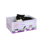 Cat box Mangosteen