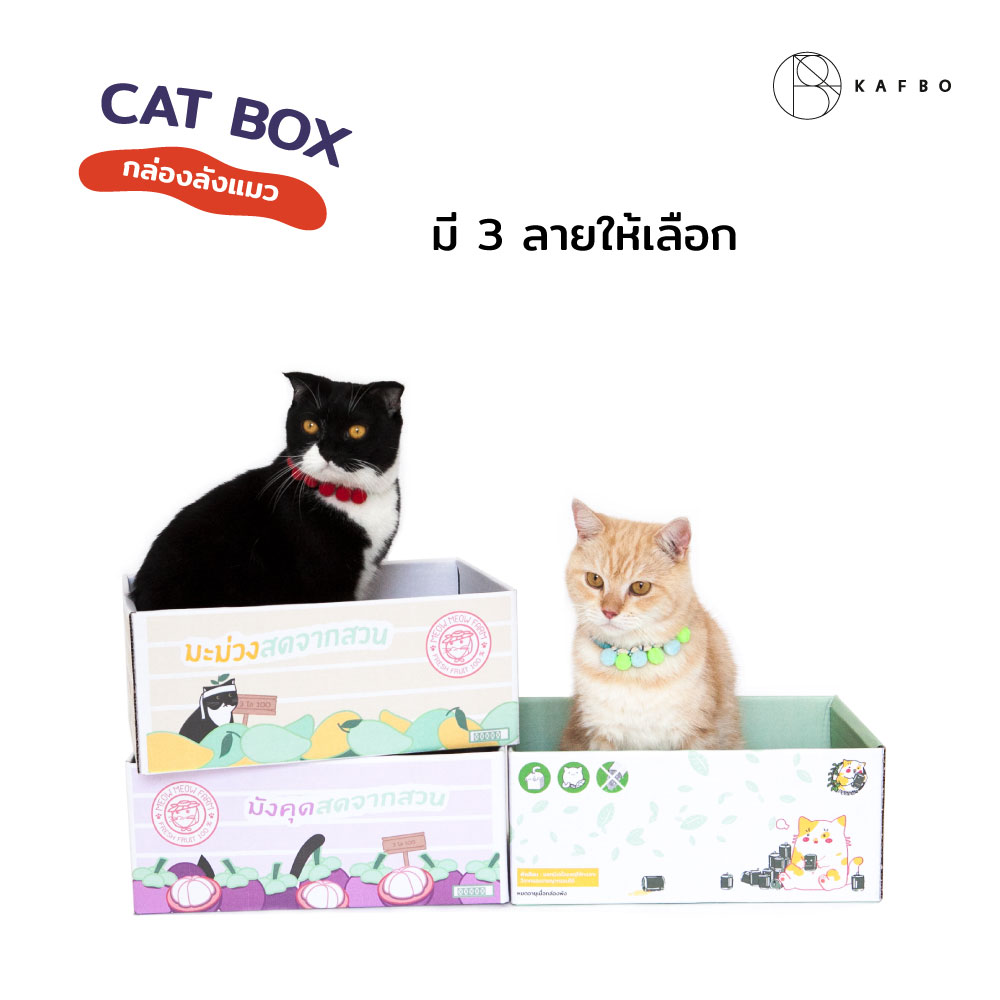 Cat box Mango