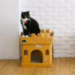 Castle Cube The Knight Sticker (The Tuxedo Cat)