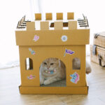 Castle Cube The Princess Sticker (The Ginger Cat)