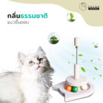 Cat Spring Toy