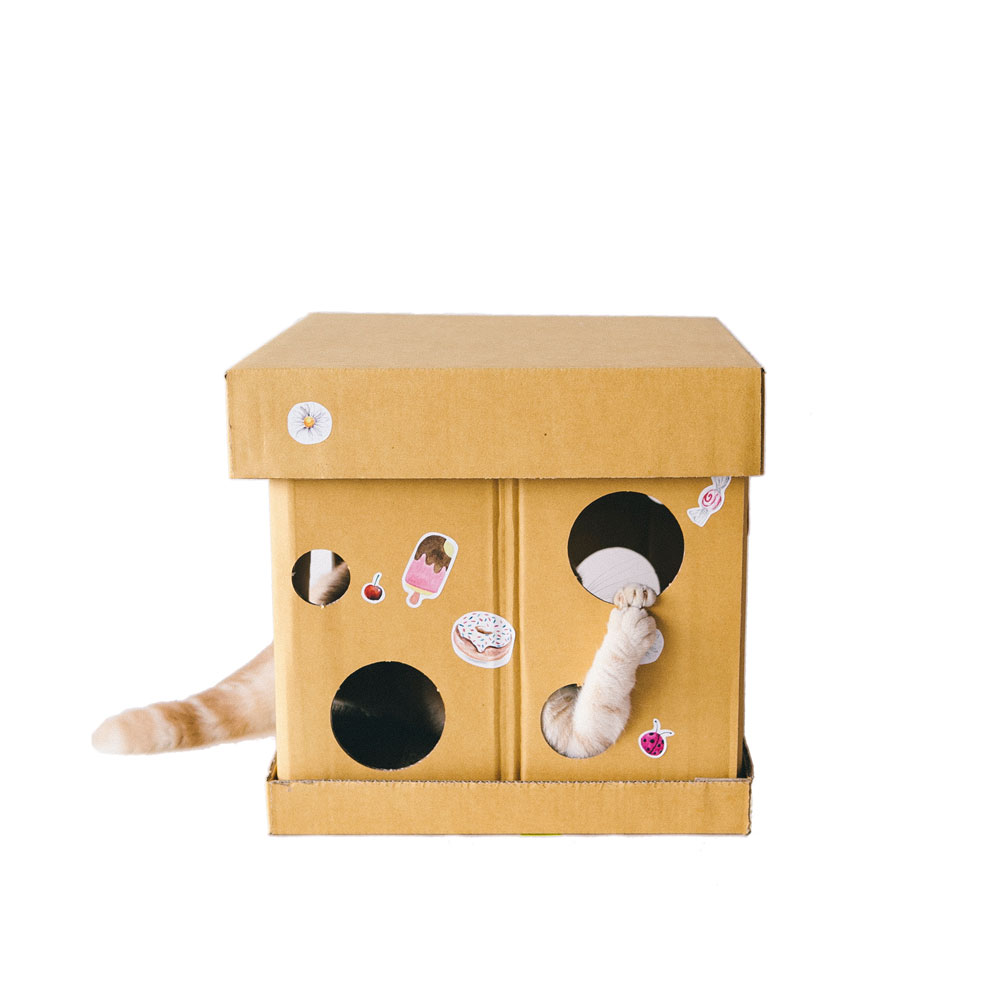 Cube The Ginger Cat Sticker (Mr. Goldenfish KAFBO)