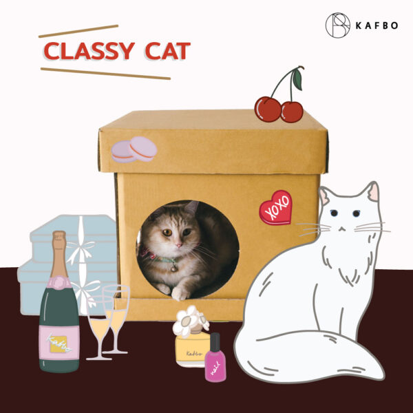 CUBE CLASSY CAT Sticker