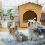 Grey Bed Pad for Eco Pet House, Dog Loft