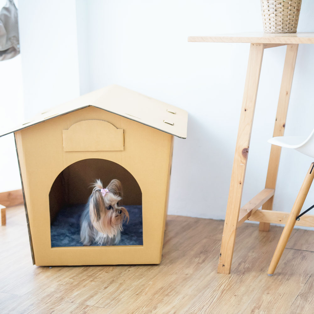 Eco Pet House with Grey Bed Pad