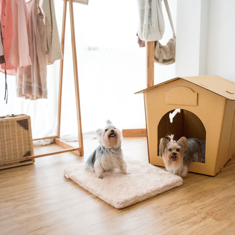 Beige Bed Pad for Eco Pet House, Dog Loft