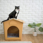 Eco Pet House with Grey Bed Pad