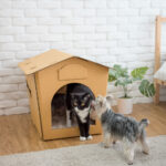 Eco Pet House with Beige Bed Pad