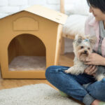 Beige Bed Pad for Eco Pet House, Dog Loft