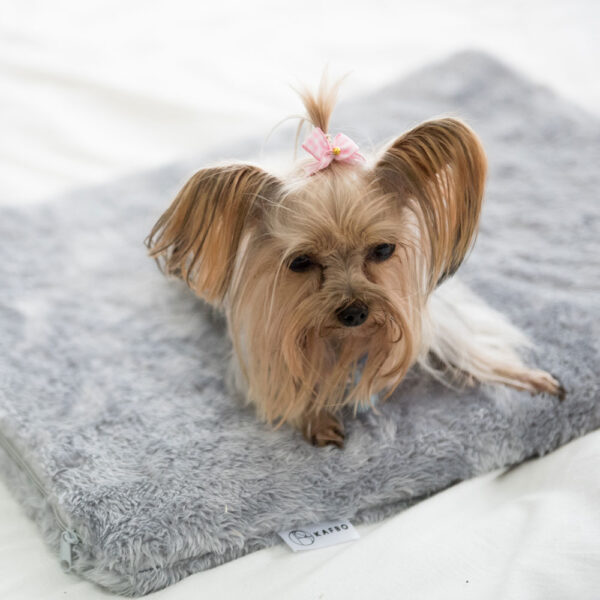 Grey Bed Pad for Eco Pet House, Dog Loft