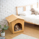 Eco Pet House with Beige Bed Pad