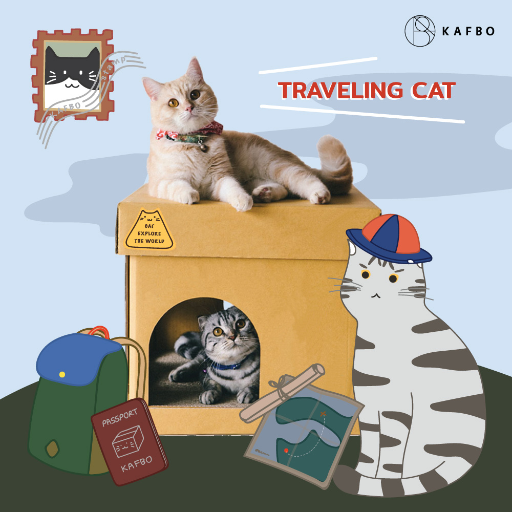 CUBE TRAVELING CAT Sticker