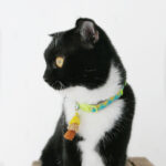 SAFETY COLLAR POM BOHEMIAN GREEN