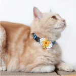 SAFETY COLLAR FLOWER FORGET ME NOT