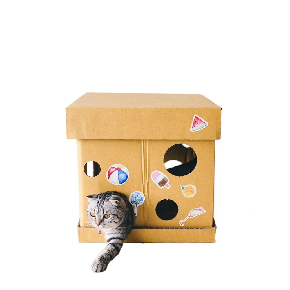 Cube The Silver Cat Sticker (Mr. Silverfish KAFBO)