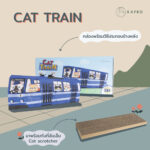 Cat train