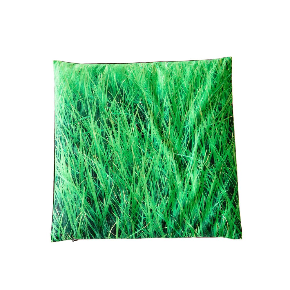 Pillow Rainy Grass