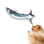 MACKEREL FOR DOG & SALMON COVER