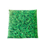 Pillow Summer Grass