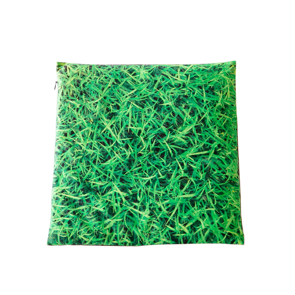 Pillow Summer Grass