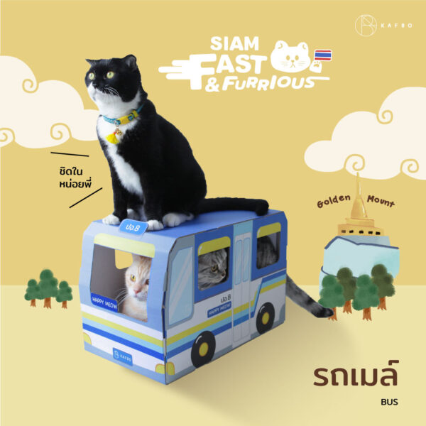 Siam Fast&Furrious รถแมวสไตล์ไทยยี่ห้อ kafbo สีฟ้า