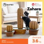 KAFBO Zahara ที่ลับเล็บกระบองเพชร ที่ข่วนเล็บแมว ของเล่นแมว ที่นอนแมว